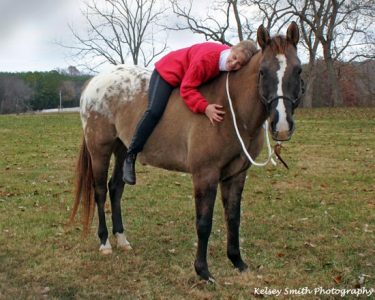 Amazing Parallels Between Surviving Your First Horse and Finding a Great Man Image